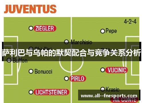 萨利巴与乌帕的默契配合与竞争关系分析 萨利巴与乌帕的默契配合与竞争关系分析