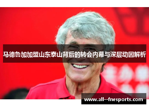 马德鲁加加盟山东泰山背后的转会内幕与深层动因解析